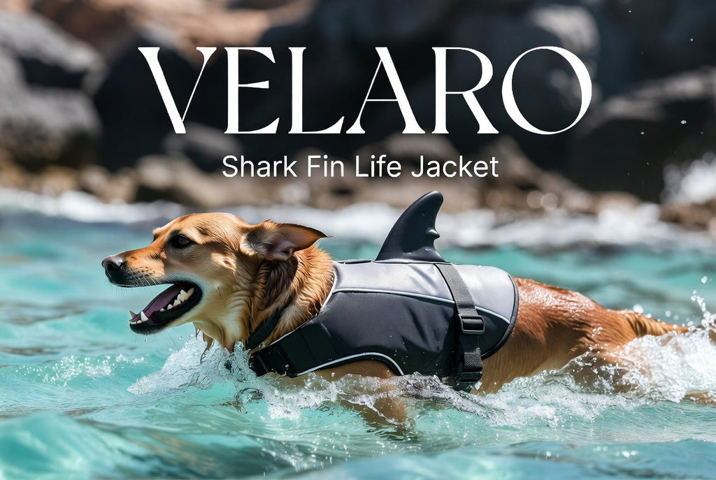Adjustable Dog Life Jacket for Swimming - Quick-Drying,Dog Saver Vest with Safety Handle