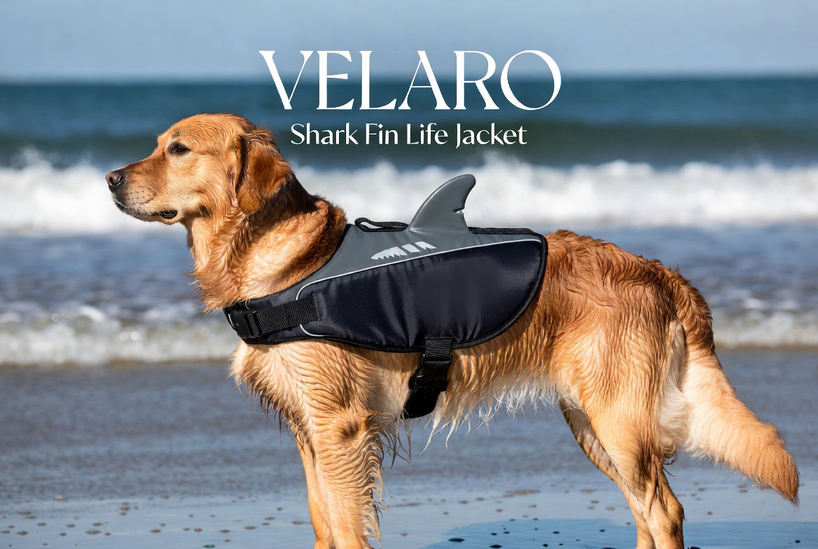 Adjustable Dog Life Jacket for Swimming - Quick-Drying,Dog Saver Vest with Safety Handle